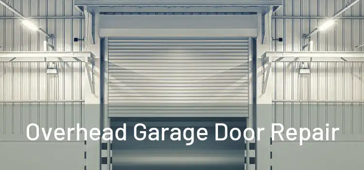  Overhead Garage Door Repair 